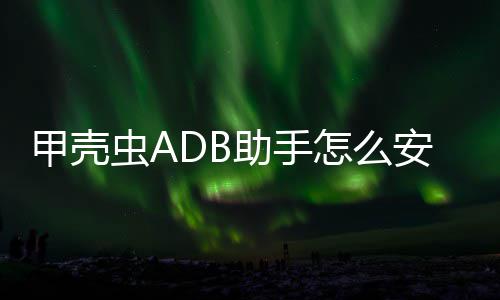 应用到电甲壳助手怎么虫A安装视